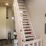 Vuosseli A 1 By Interhome * Ruka
